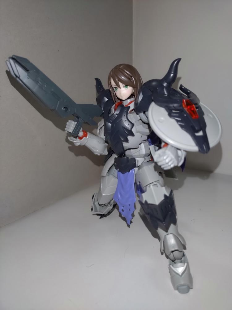 ウォーリアPの新装備