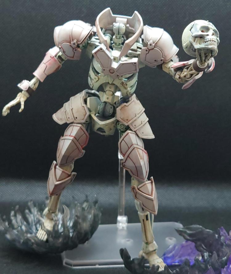 ドゥロースケルトン(ナイト仕様)